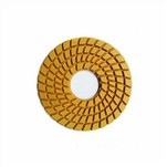 10 Inch 250mm Diamond Polishing Pads